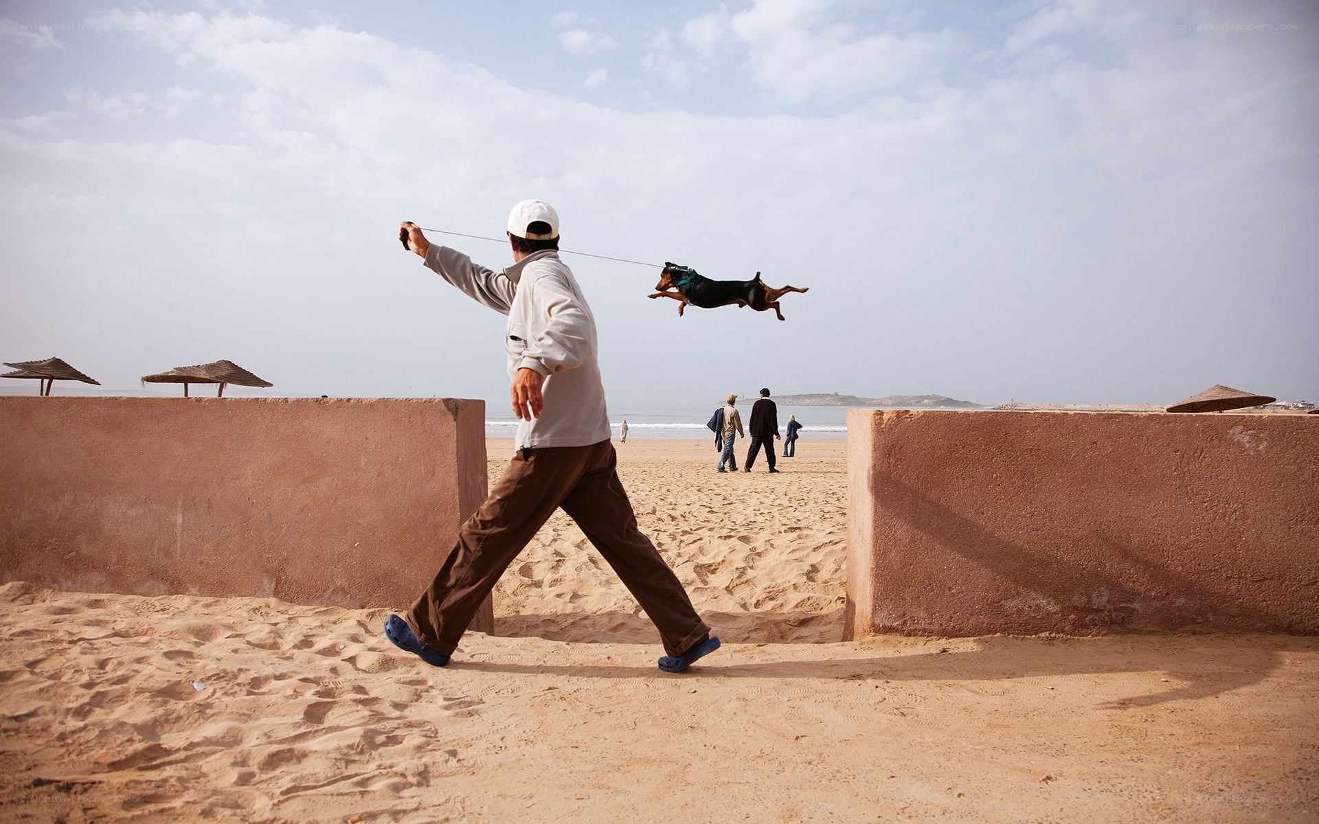 Man walking dog on beach