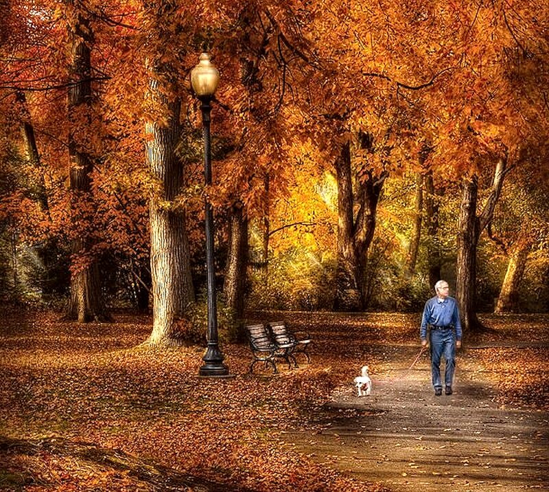 Man Walking Dog — Orange