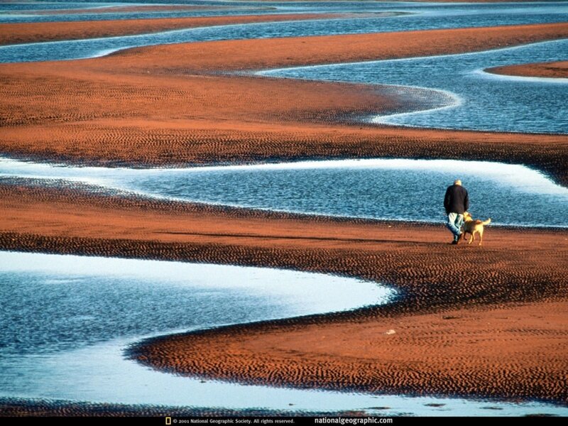 Man Walking Dog