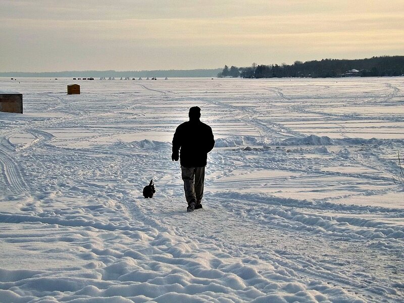Man Walking Dog — White, Serene