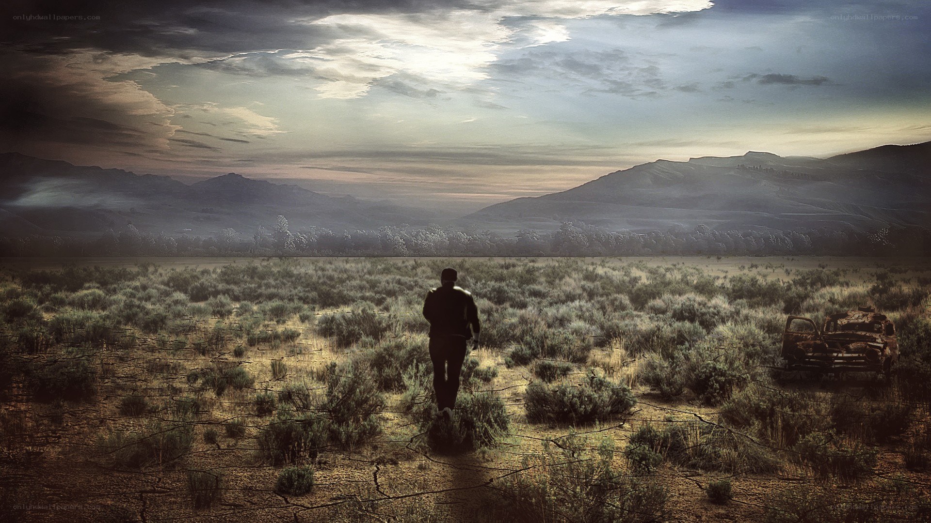 man walking in a desert landscape