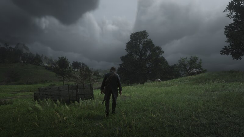 Man Walking in Field — Green