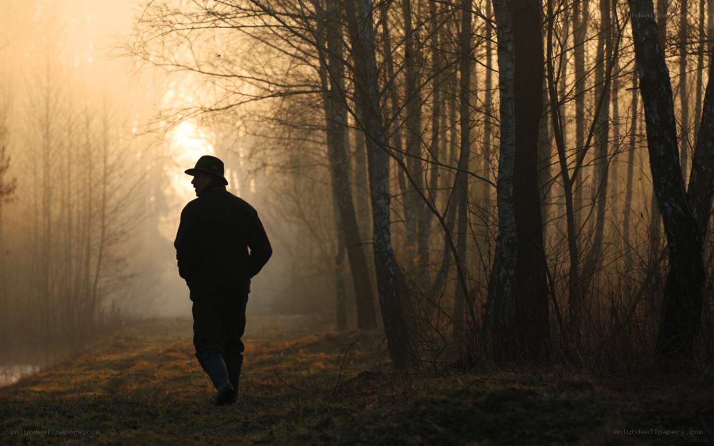 Man walking in forest at sunrise