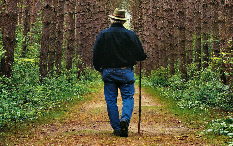 Man Walking in Forest — Green