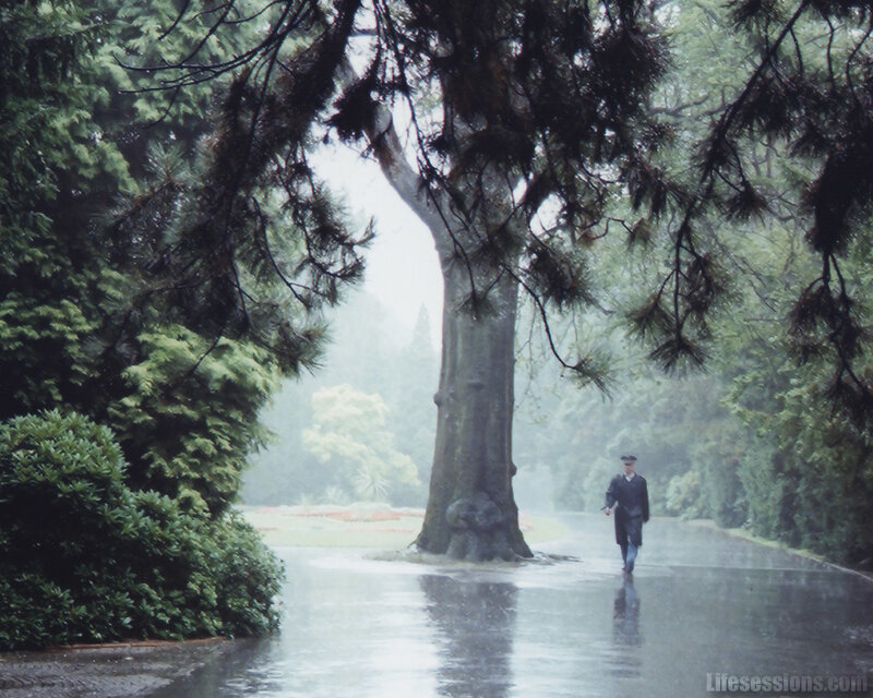 Man walking in rainy park
