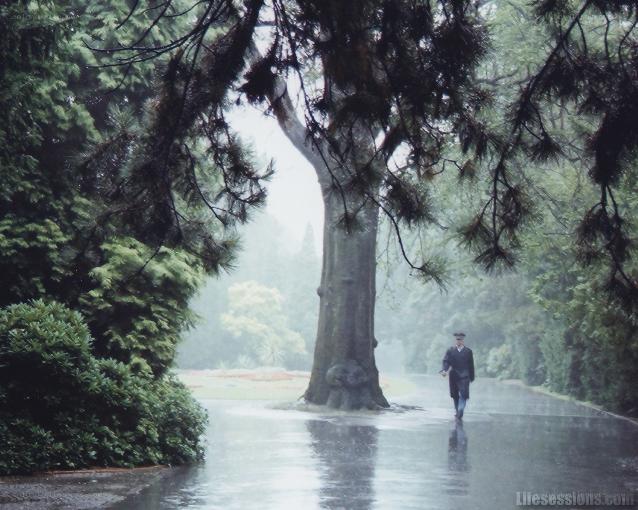 Man walking in rainy park