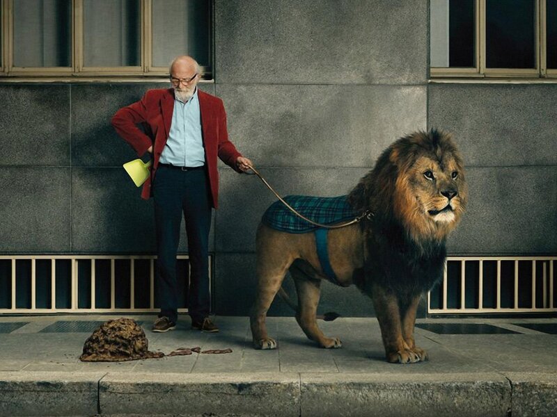 Man Walking Lion — Gray, Dramatic, Photograph, Dog Poop