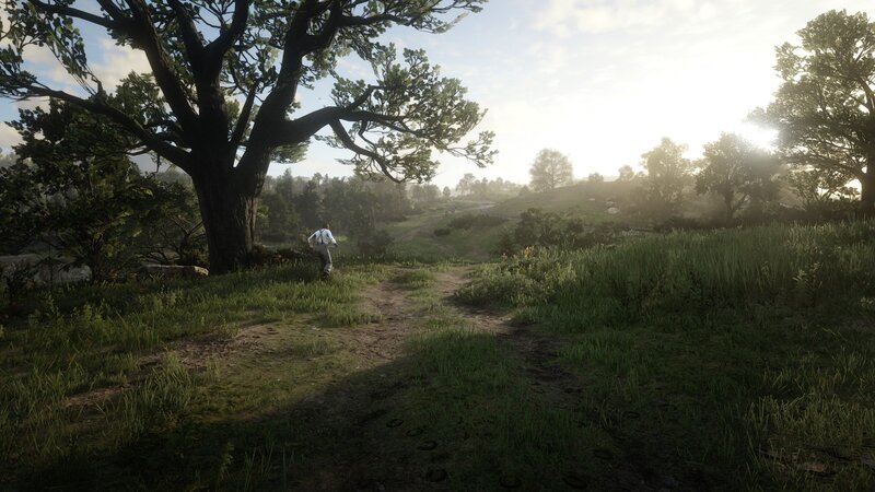 Man Walking on Path — Green, Serene