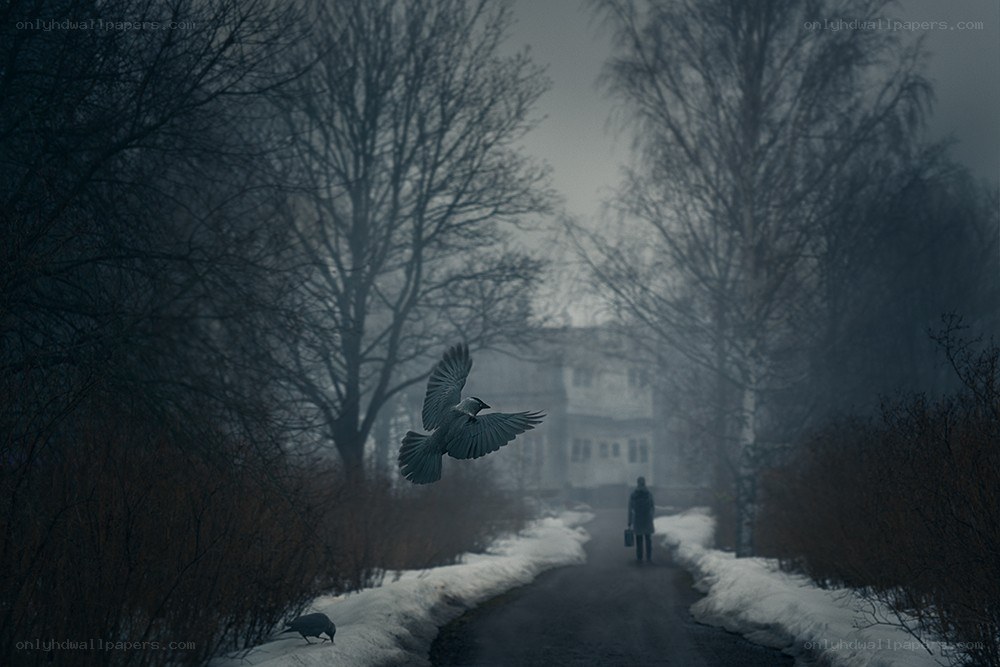 Man walking on snowy path