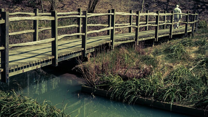 Man walking on wooden bridge