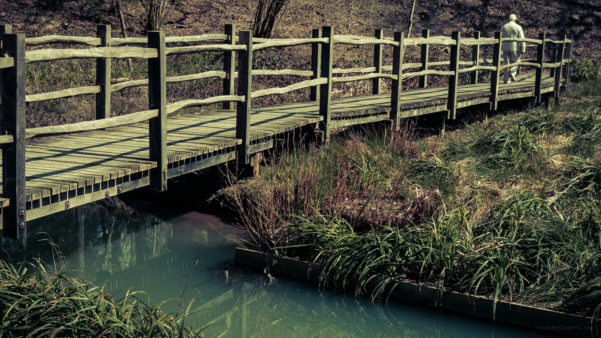 Man walking on wooden bridge