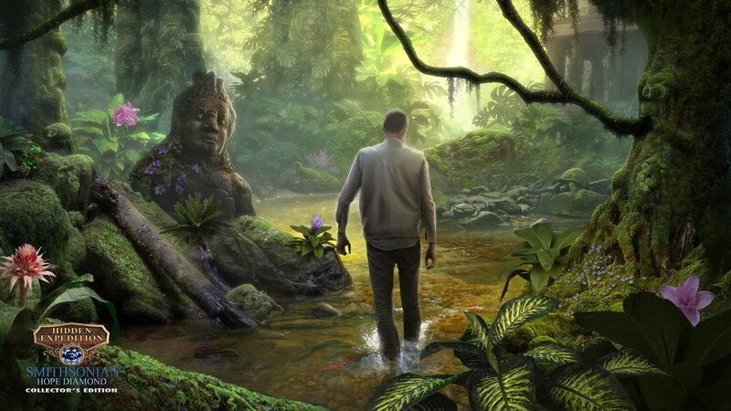 Man Walking Through Jungle