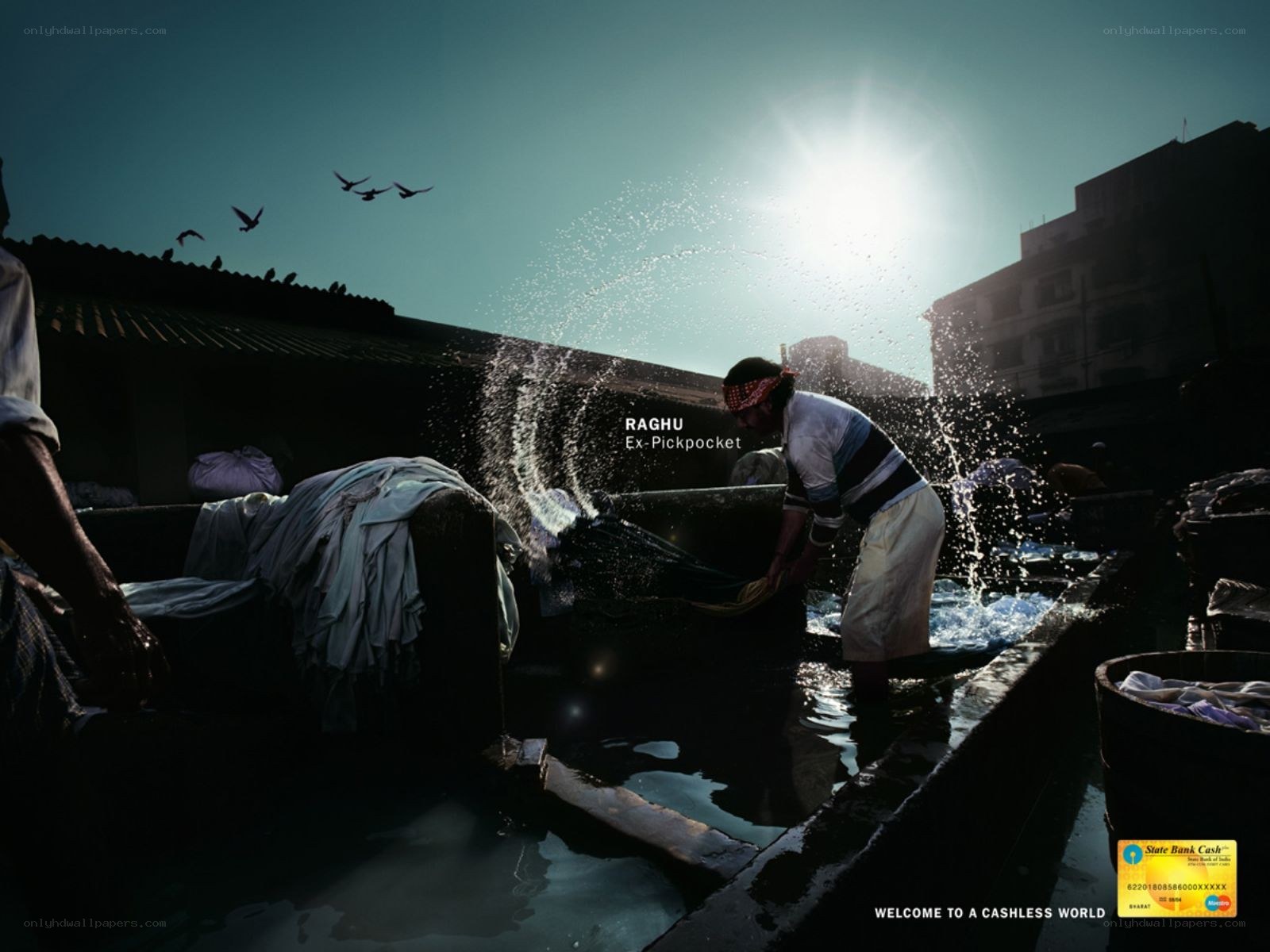 Man washing clothes in sunlight