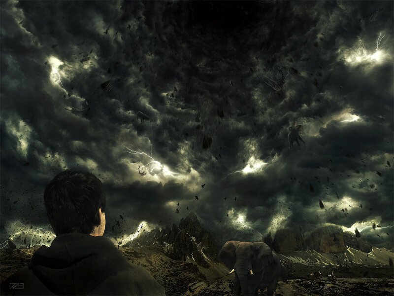 man watches storm with elephants