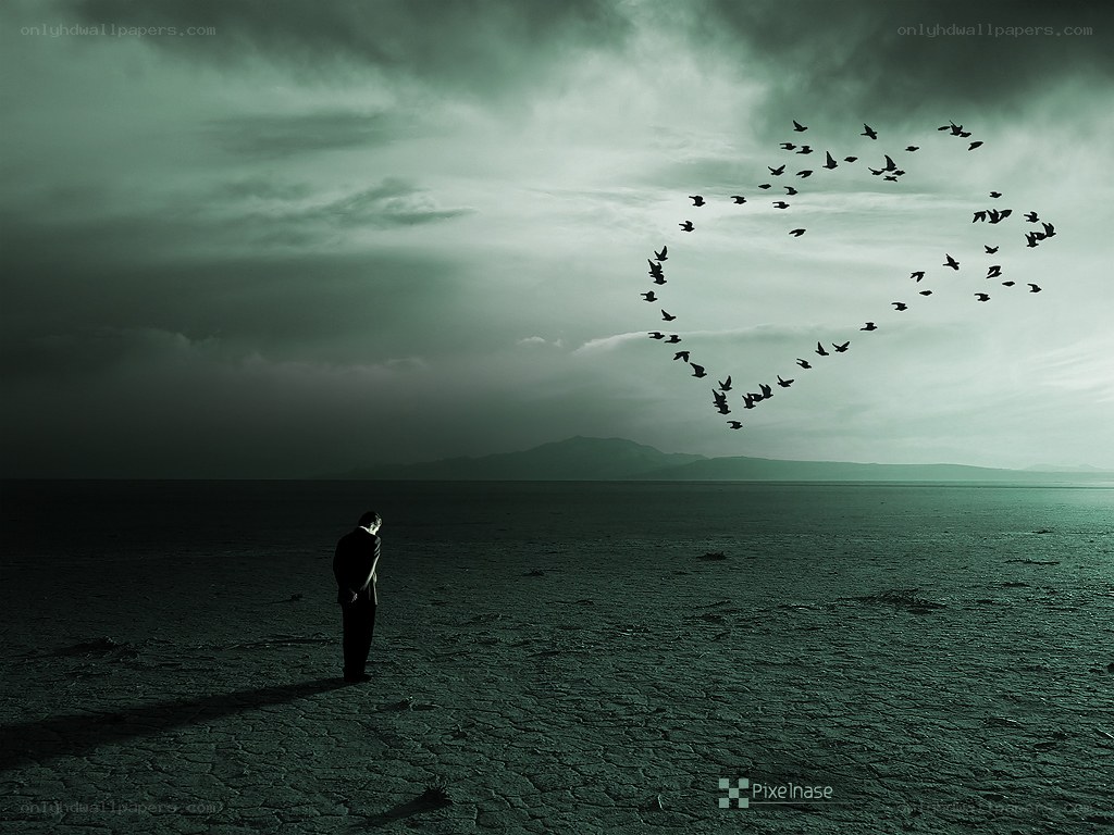 Man watching birds form a heart