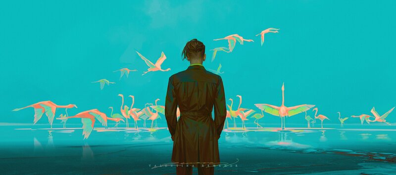 Man Watching Flamingos