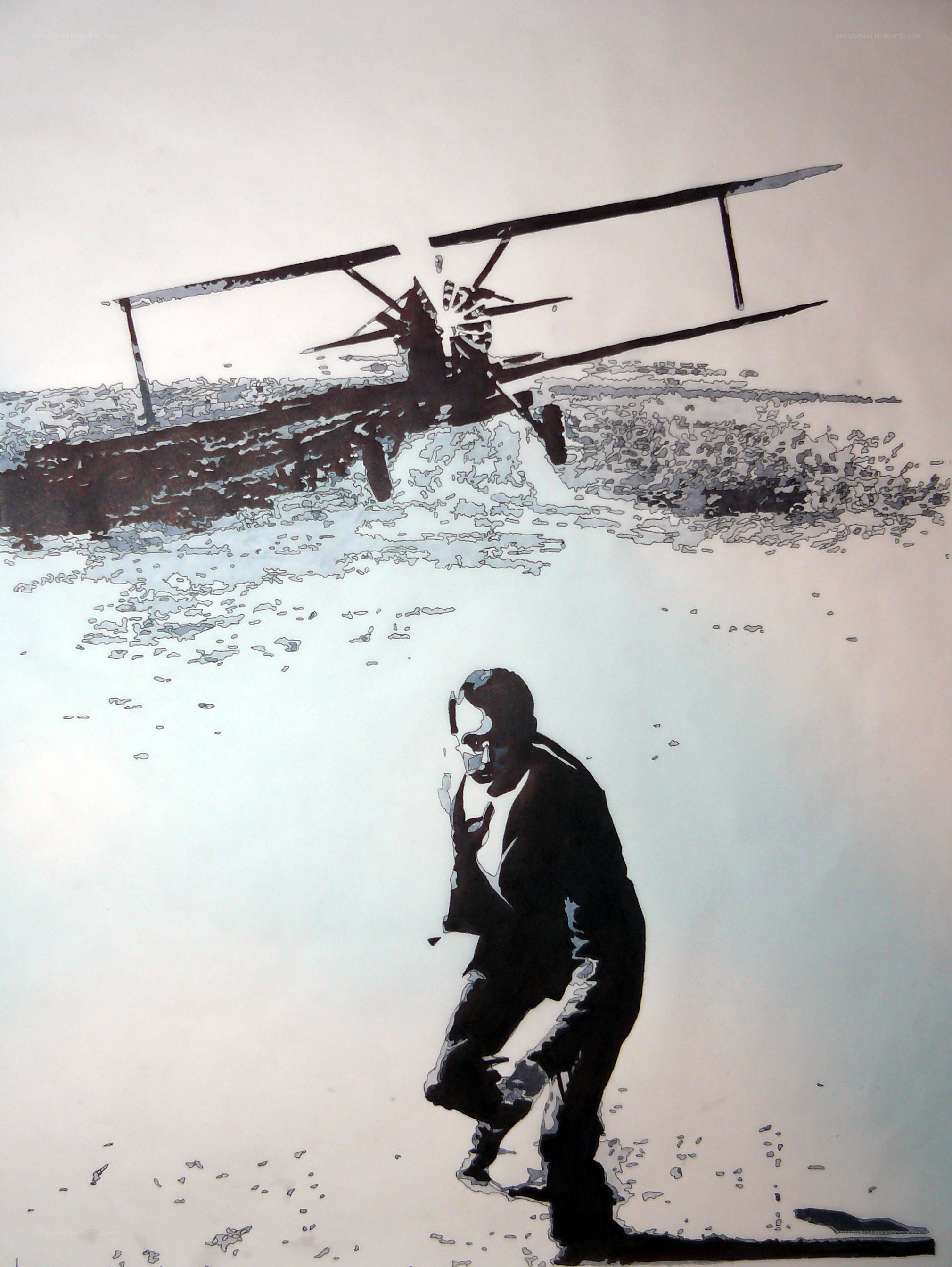 Man watching plane crash