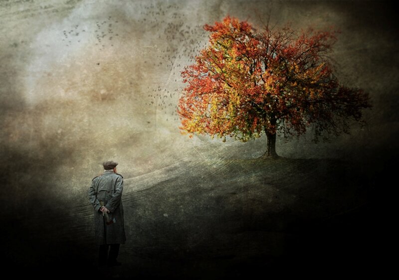 Man Watching Tree