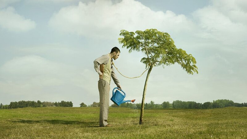 man watering a tree
