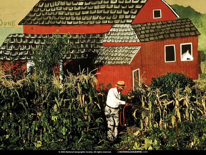Man watering garden in front of barn