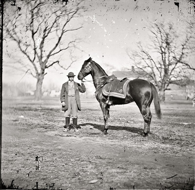 Man with a horse in a field