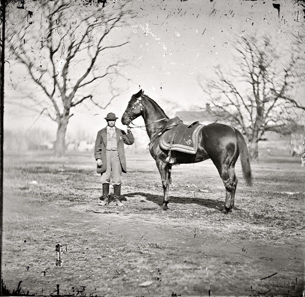 Man with a horse in a field