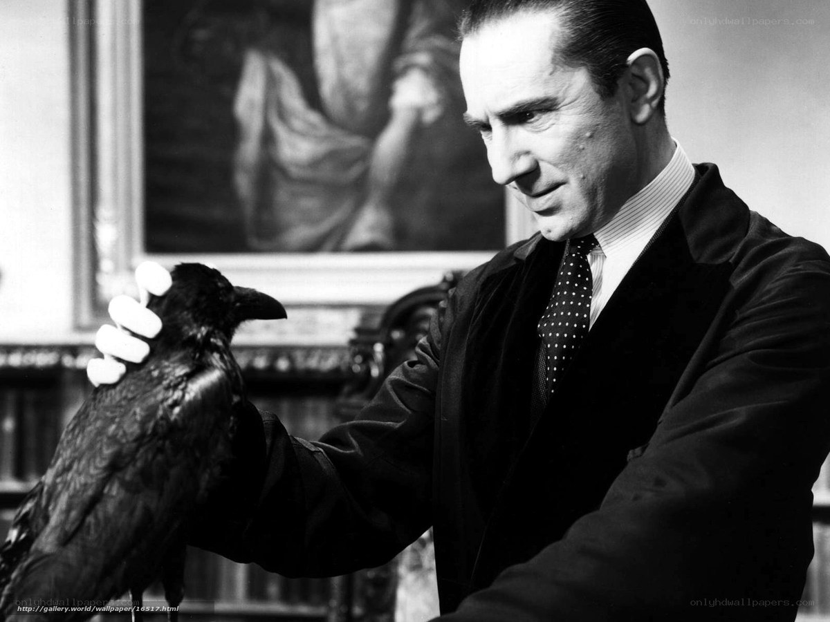 Man with a raven on his arm