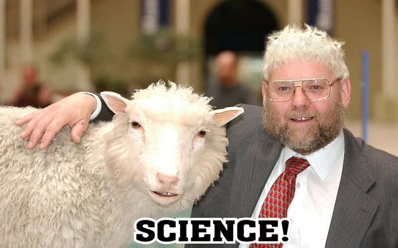 Man with a sheep