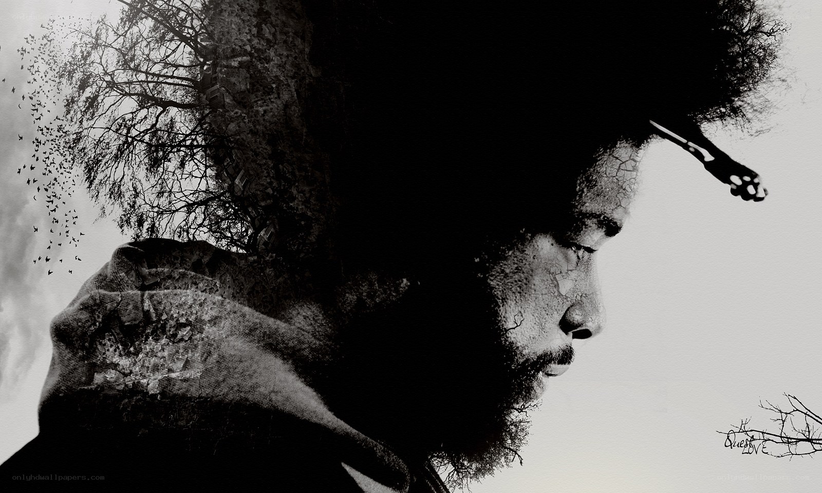 man with afro and tree overlay