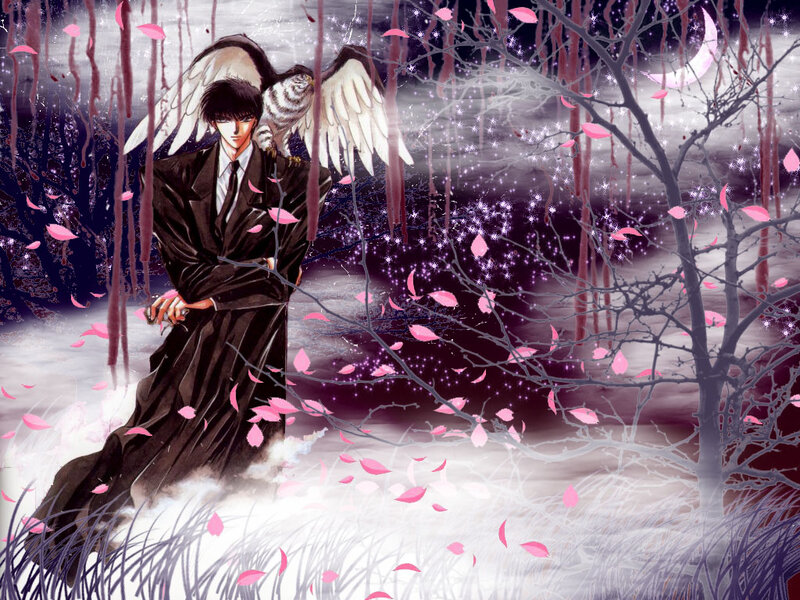 Man with Angel Wings — Black, Dramatic, Night, Manga