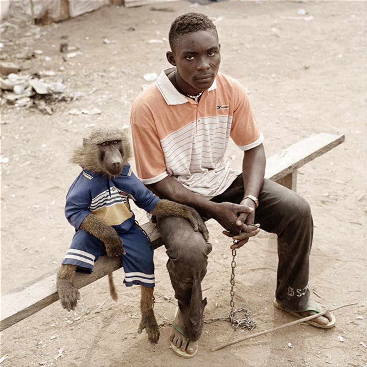 Man with baboon on bench