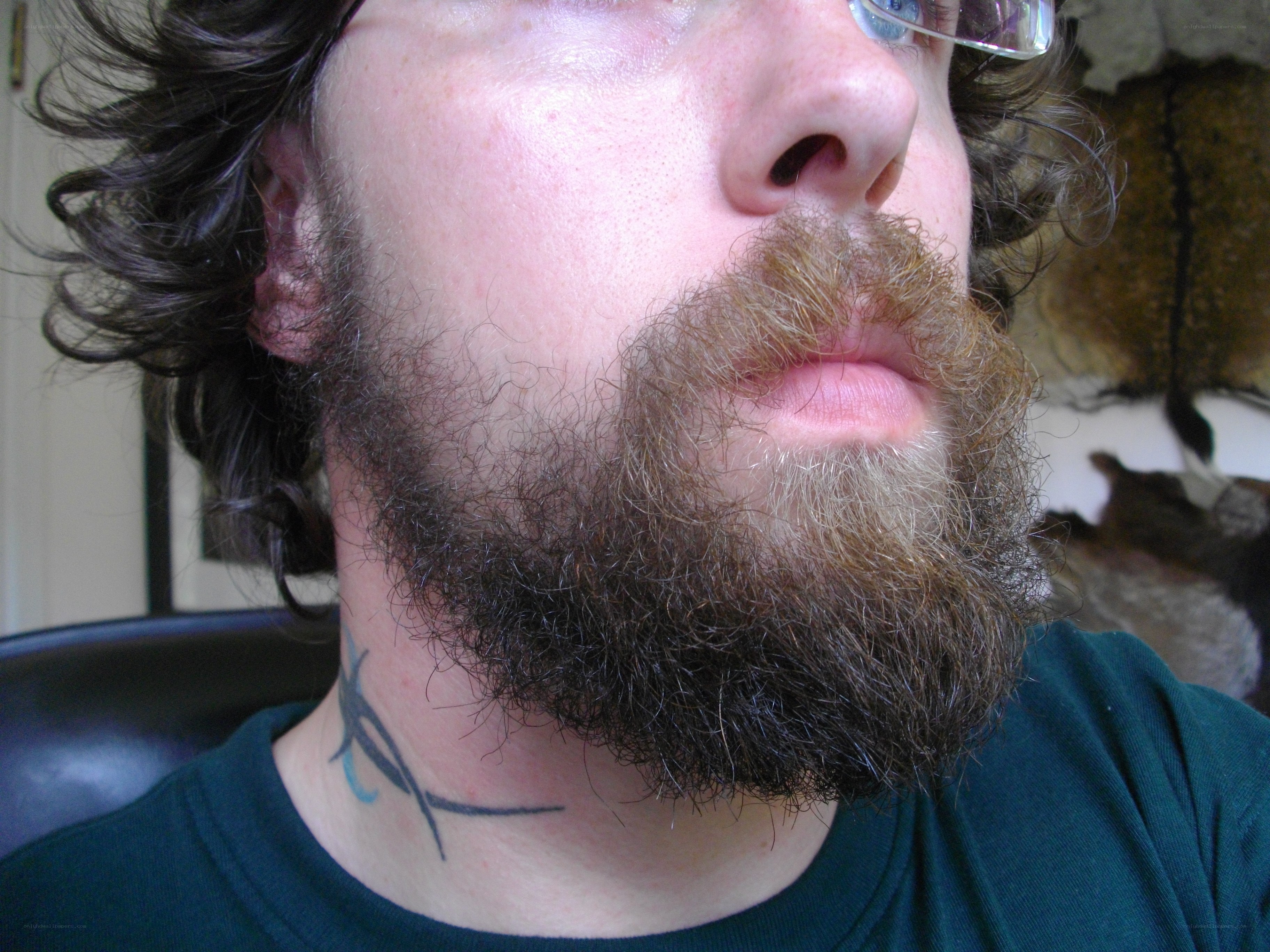 man with beard and neck tattoo
