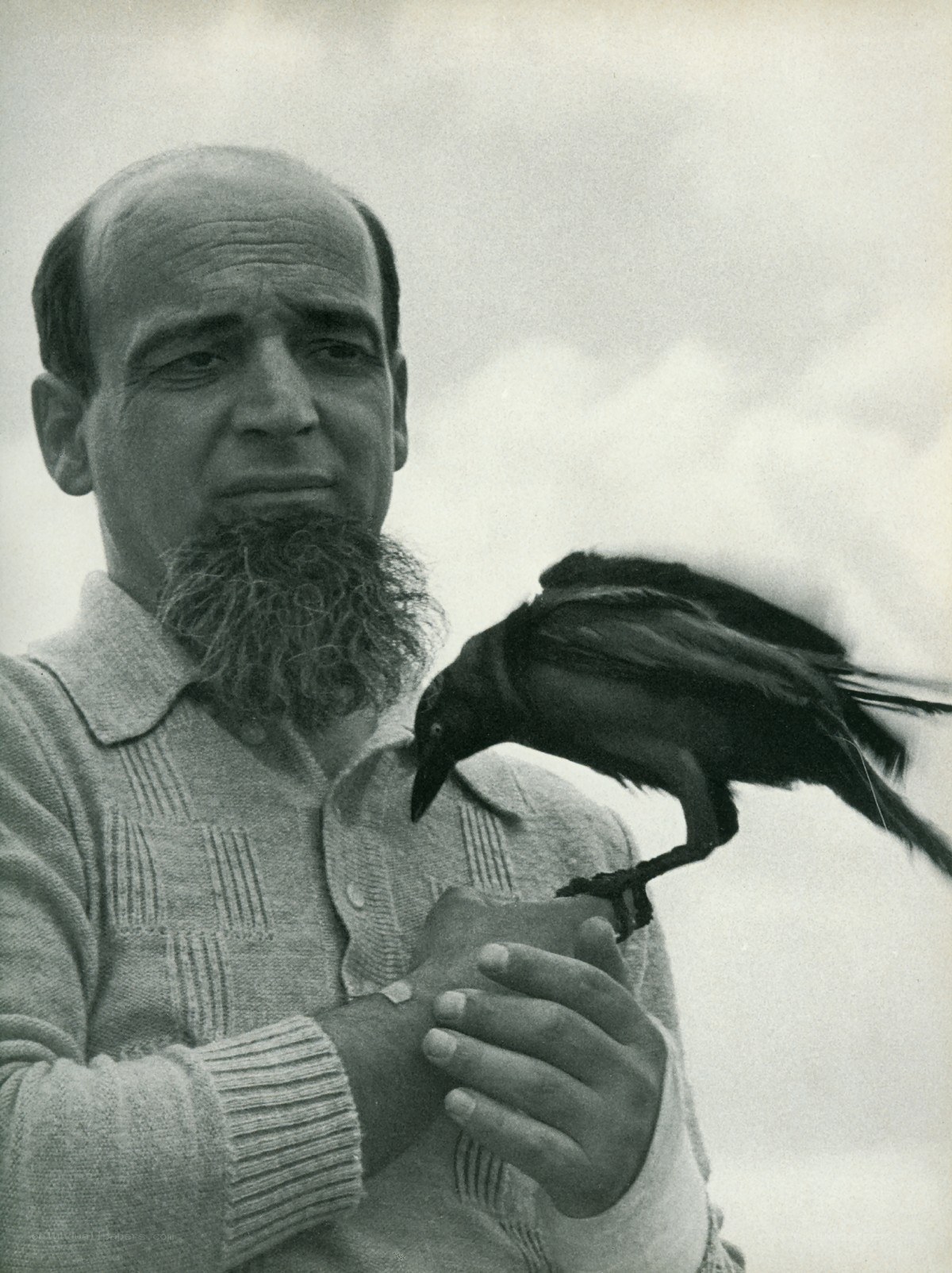 man with bird on hand
