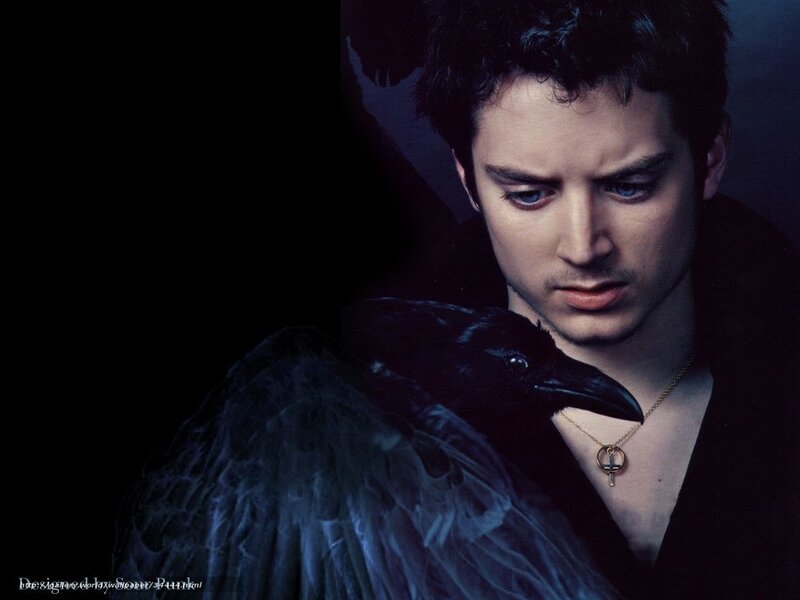 man with black bird on shoulder