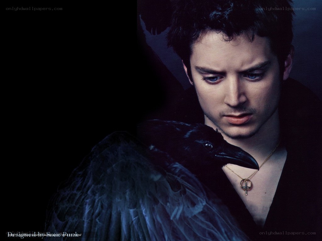 man with black bird on shoulder
