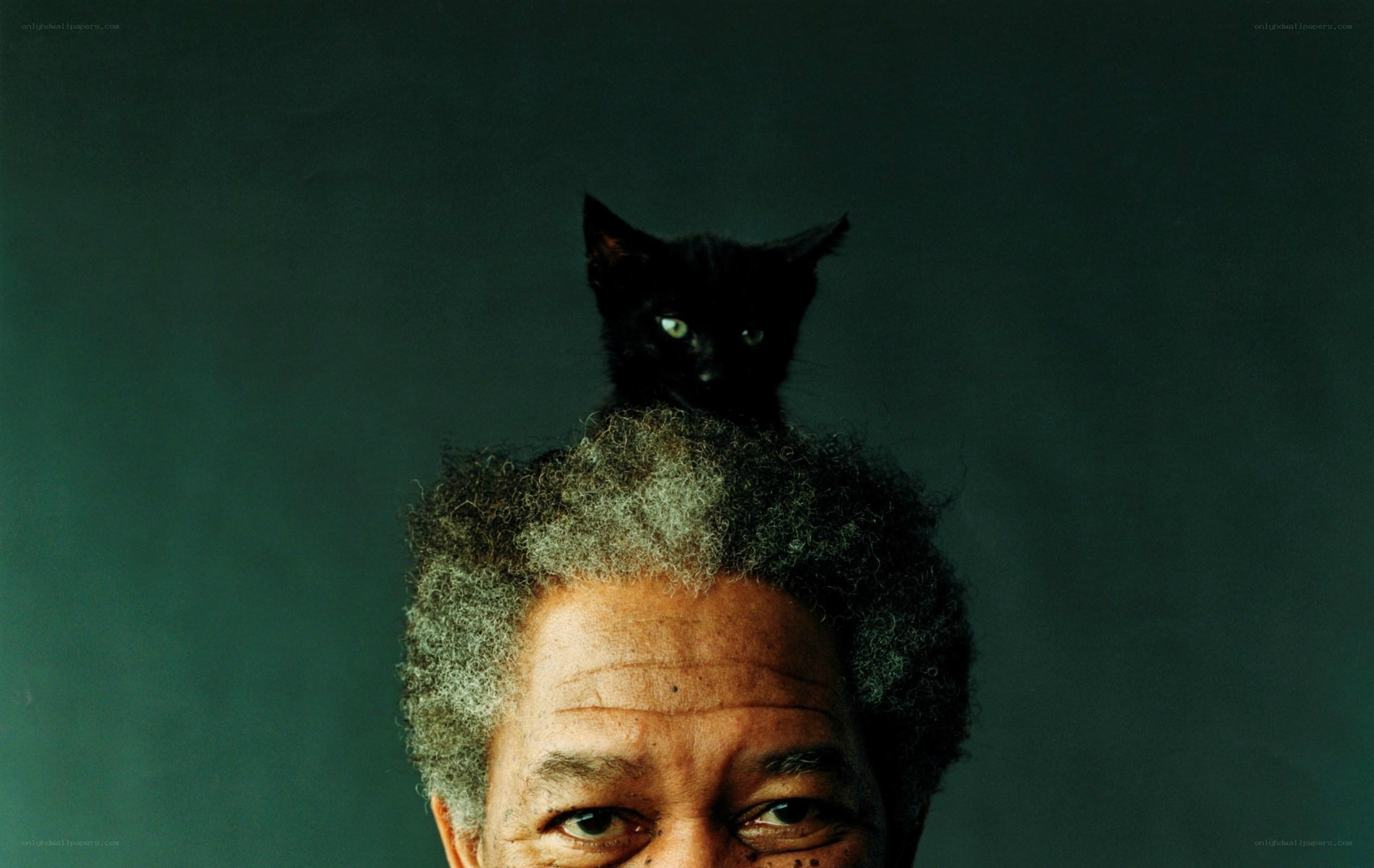 man with black cat on head
