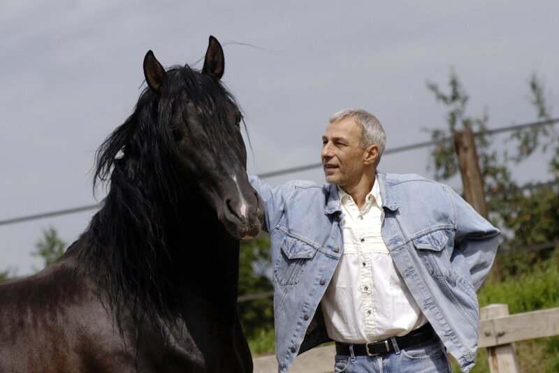 Man with Black Horse — Calm