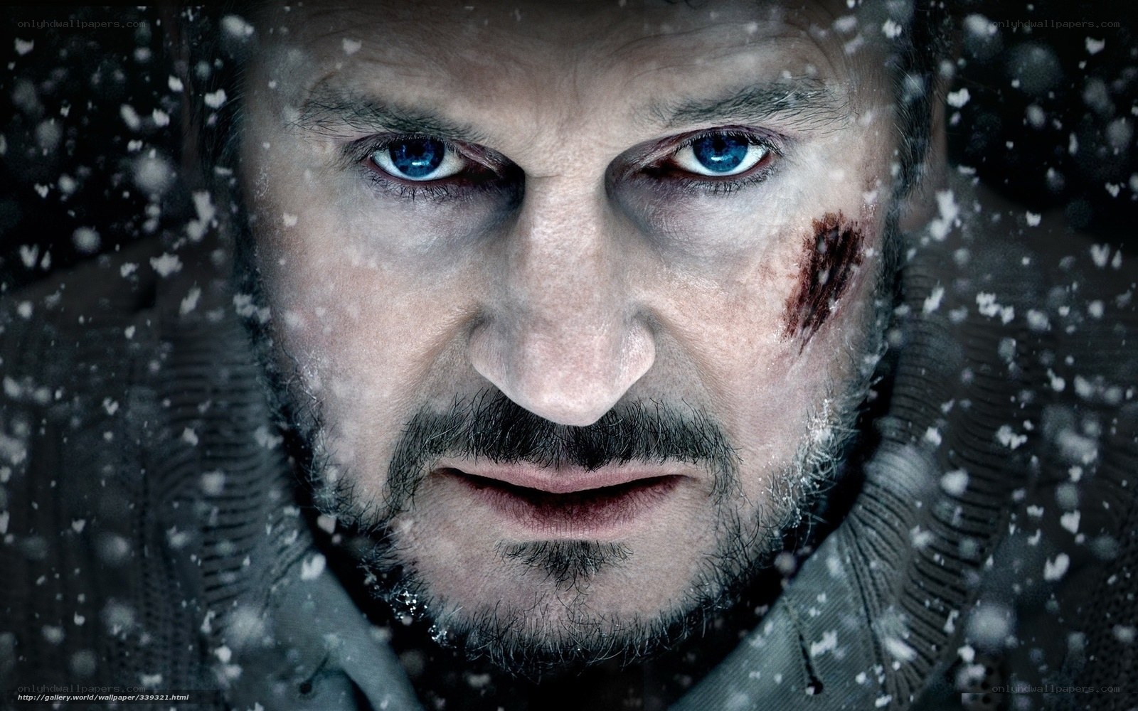 man with blue eyes in snow