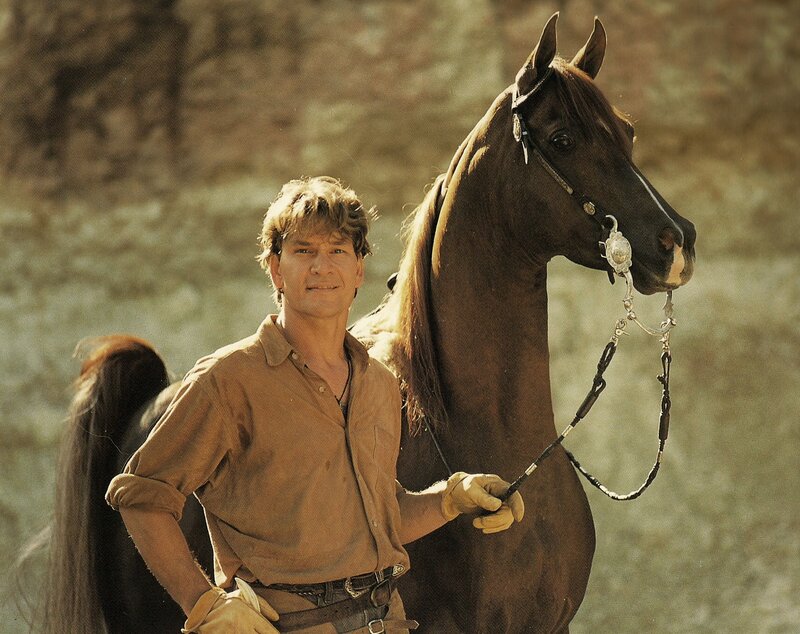 Man with Brown Horse