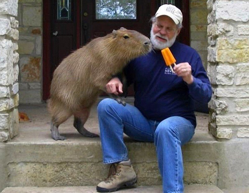 man with capybara on porch