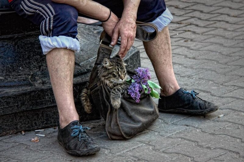 Man with Cat in Bag