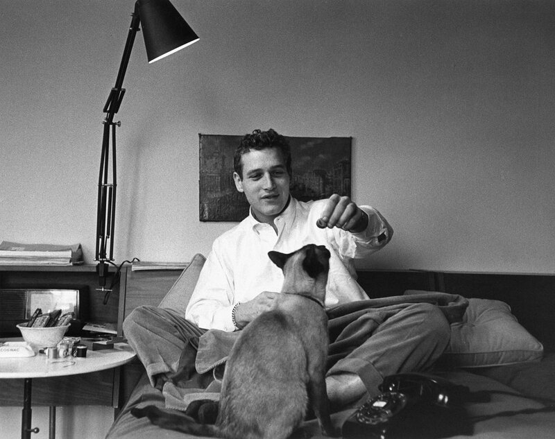 Man with cat on bed