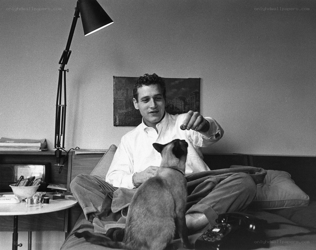 Man with cat on bed