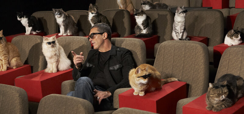 Man with Cats in Theater