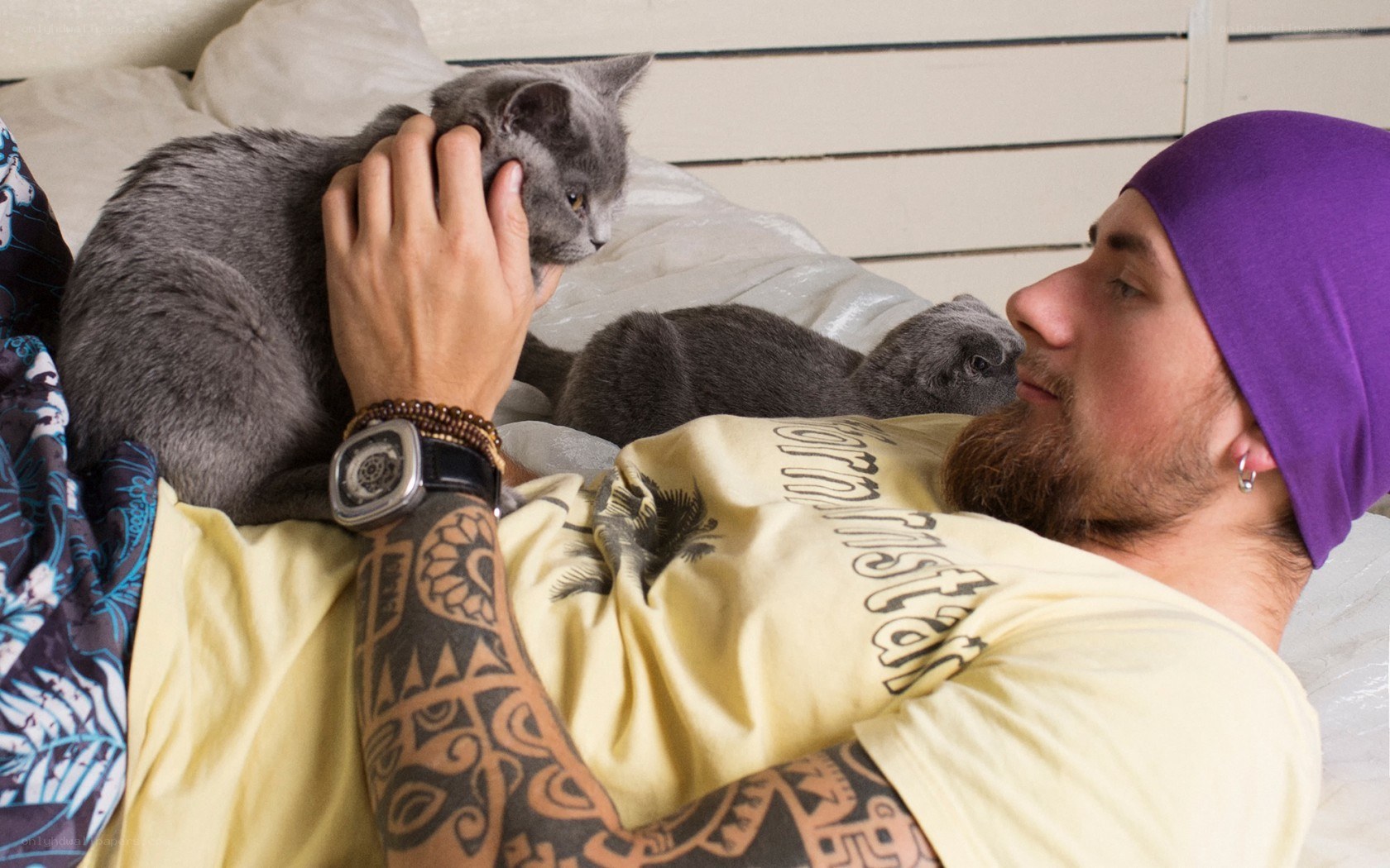 man with cats on bed