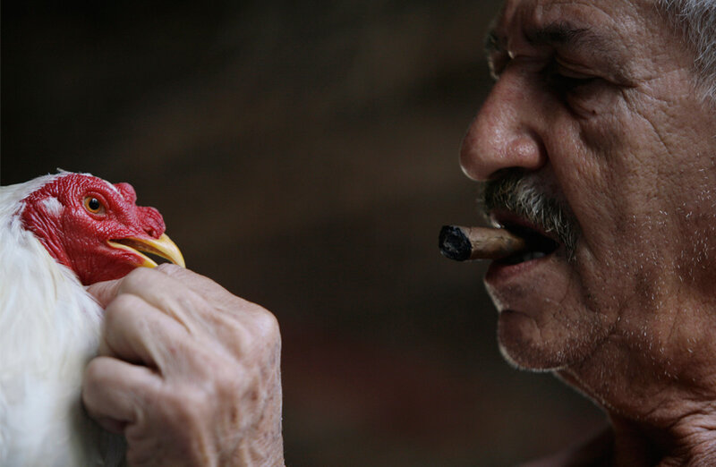 Man with chicken and cigar