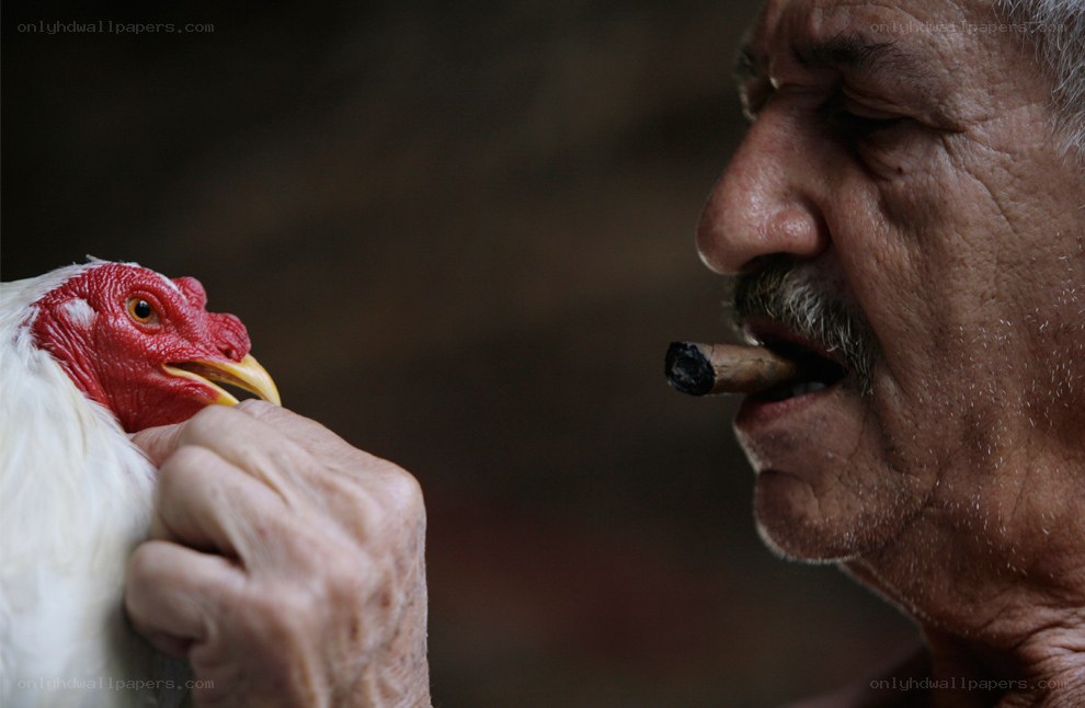 Man with chicken and cigar