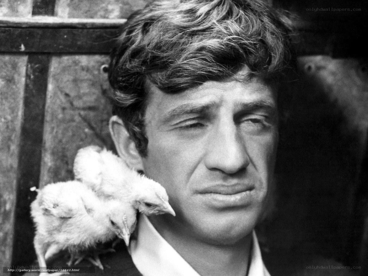 Man with chicks on shoulder