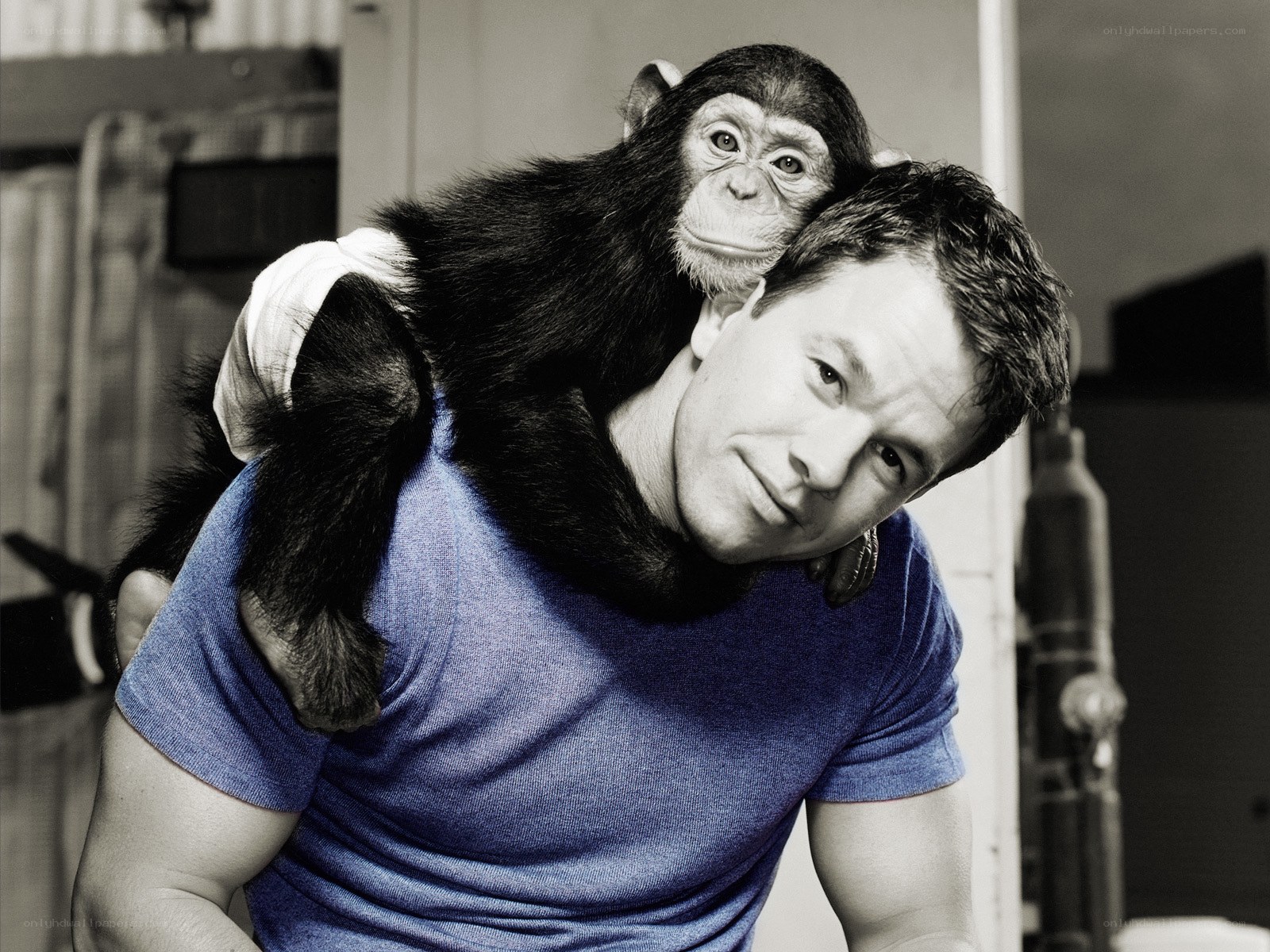 Man with chimpanzee on shoulder