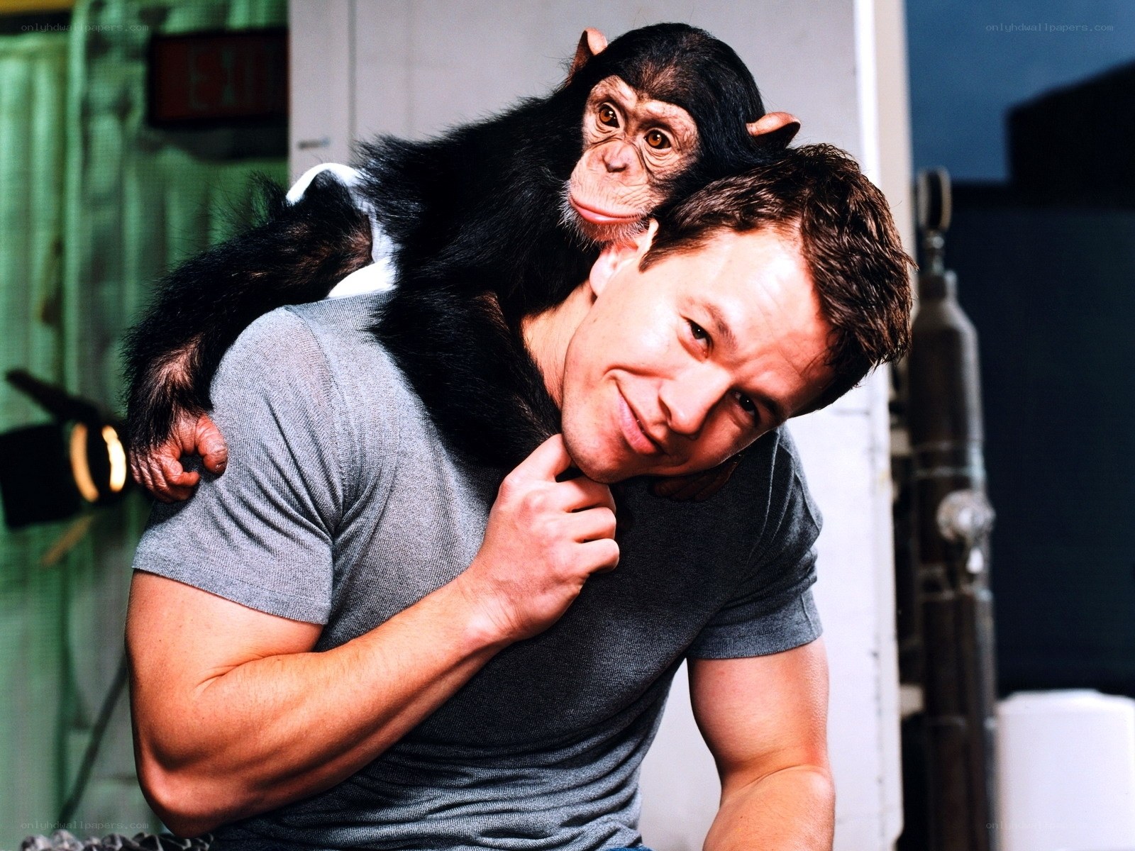 Man with chimpanzee on shoulder